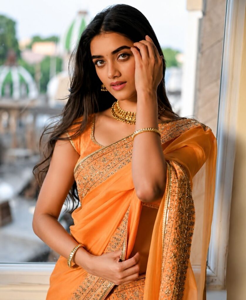 Bhagyashri Borse Saree Pics/Photots